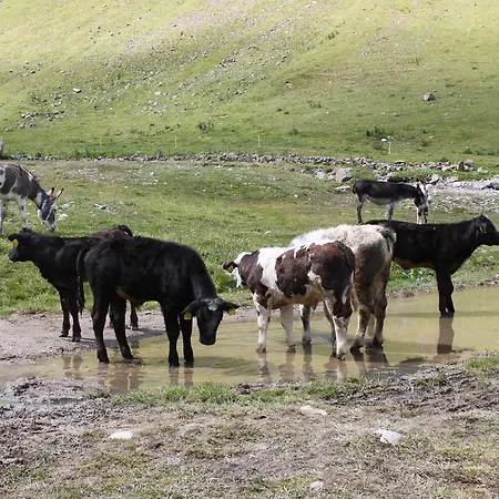 Hotell Dependance Sporting Livigno